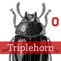 Triplehorn Insect Collection (@osucatosu) 's Twitter Profile Photo Triplehorn Insect Collection (@osucatosu) 's Twitter Profile Photo