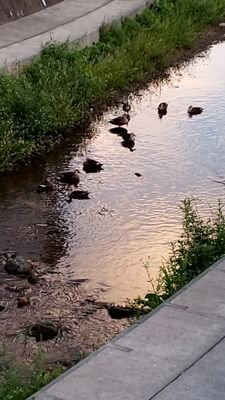 o2a61IEjCSFp3M1's profile picture. ダイエット中
目指せ50kg前半！
162cm、jk。大好きなのはお肉と豆腐。