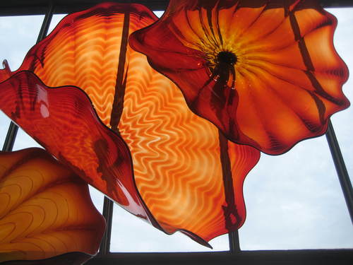 HokieLife's profile picture. 