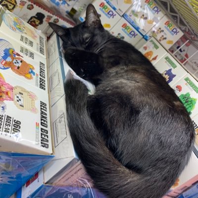 howtosavealif18's profile picture. 