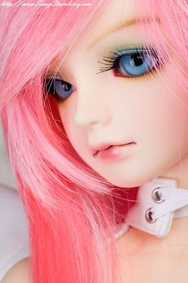 Zina21953731's profile picture. love live life