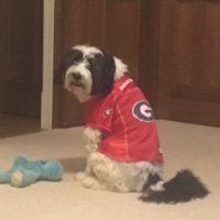 not a dog (@rjamese) 's Twitter Profile Photo not a dog (@rjamese) 's Twitter Profile Photo