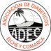 ADEC (@diabeteselche) Twitter profile photo ADEC (@diabeteselche) Twitter profile photo