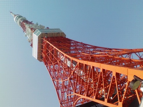 okke_shibuya's profile picture. 