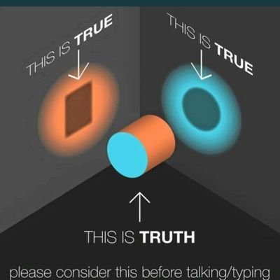 the_tax_payer's profile picture. It's Mayhem everywhere.