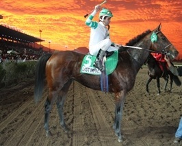 guruhipico's profile picture. Peter Lynch es mi copiloto