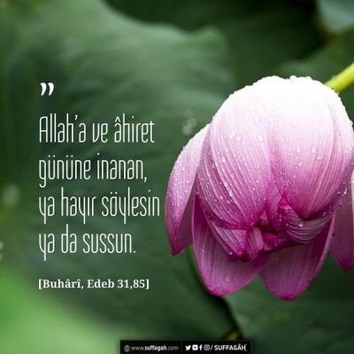 i_kavl's profile picture. Keşke 90'lardaki aciz halimizi az bir araştırsa gençler.Vallahi çoğu pişman olacak.Hadis "Öfke şeytandandır"diyor.Mış miş değil kendi fikriniz olsun lütfen ya.