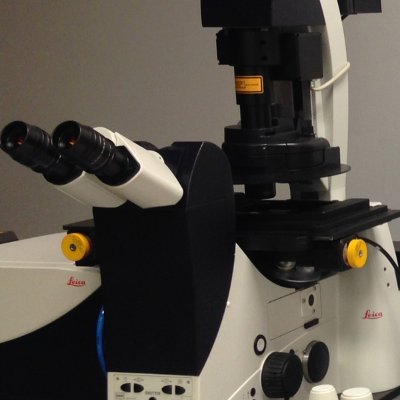 Light microscopy facility at the School of Veterinary Medicine, University of California, Davis – confocal, two-photon and super resolution (STED)