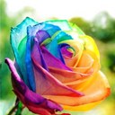 Roberta Holt - @Eternal_Melody - Twitter