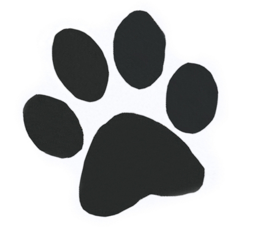 SafetyGearSour's profile picture. Safety Gear website, hard hats, vests, all of your PPE needs. Workin' Like a Dog.