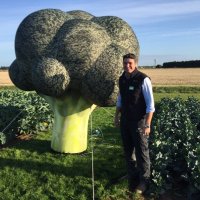 Matthew Garnett (@garnettmw) 's Twitter Profile