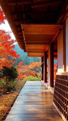 elifka41's profile picture. 