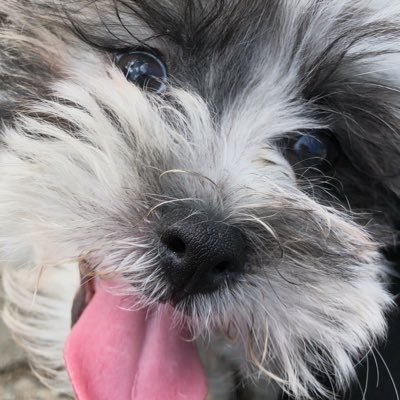 Logan52747559's profile picture. cheese