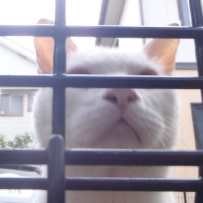 埼玉在住のギターを弾いたりベースを弾いたりしている独身男性。
HR/HMとプログレと犬と猫と紙ジャケと米と酒と自宅と怪談が好き。
最近はよく #深夜の2時間DTM 様の企画にお邪魔させて頂いております。