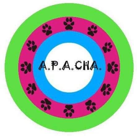 Asociación Protectora de Animales Chacabuco
Voluntarios independientes que luchamos contra el maltrato y el abandono de animales en Chacabuco. 🐶🐱🐾💗