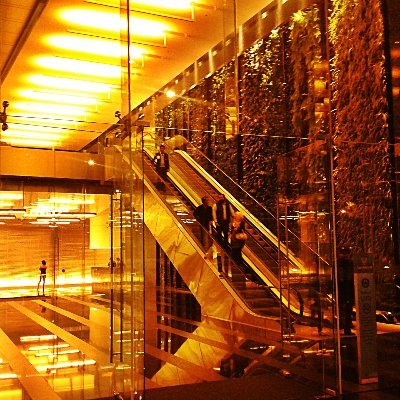 Berzerkerl1's profile picture. Sturm und Drang
Nacional-soberanista