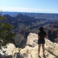 Martina de Majo (@martinademajo) 's Twitter Profile
