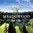 Meadowoodnews's profile image