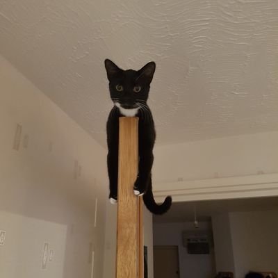 ChrisRicebrown's profile picture. My love for Liverpool fc will never die. ..#YNWA #LFC #ENGLAND #ANFIELD 
#FUCKCANCER #ALWAYSWITHUS96 #ONLYONEENGLAND