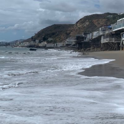 bionicvirtue's profile picture. 