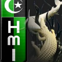 HMI Cabang Surabaya (@hmi_cbgsurabaya) 's Twitter Profile