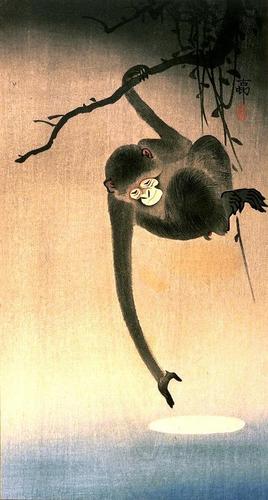 Possibly the oldest living Zen tweeter. At least, nobody has argued with that.
