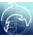 dolphinsarasota's profile image