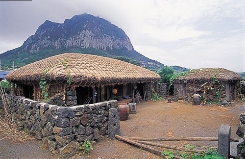 steam_nebulizer's profile picture. 