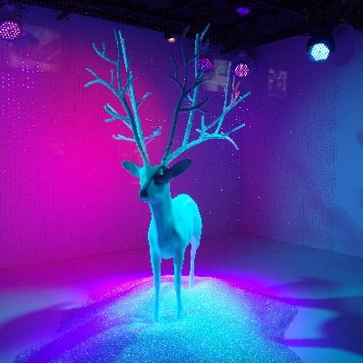 なんでも毎日継続することが大切だと思っています!料理、家電製品、カメラ、スポーツ、旅行、ゲームが趣味です。突然のいいねやリツイート失礼します。