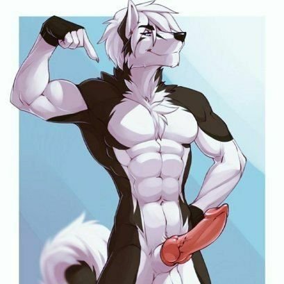 (21) Hello! I'm Austin! I'm a cuddly, loving, fun loving wolf! my dms are always open for anyone! |art belongs to @Vallhound|