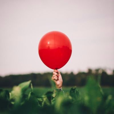 🎈 모든 픽크루는 출처 기재를 기본으로 하고 있습니다 : 문제나 문의는 디엠 부탁드립니다 : 중복 O 🎈