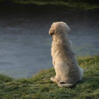 maedje (@maedje14) 's Twitter Profile