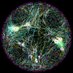 HMSBioPlex (@hmsbioplex) Twitter profile photo HMSBioPlex (@hmsbioplex) Twitter profile photo