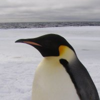 Jeff McQuaid (@jmcquaid) 's Twitter Profile