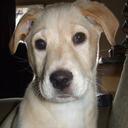 Mandy Mancini - @mandi88 - Twitter