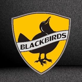 Keravalaisen miessalibandyn lippulaiva. Blackbirdsin miesten edustus pelaa kaudella 2022-2023 Suomisarjaa.