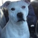 Robert Grayson - @robgrayson28 - Twitter