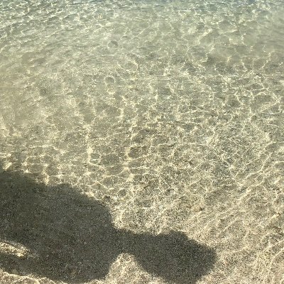 yaki5678's profile picture. 