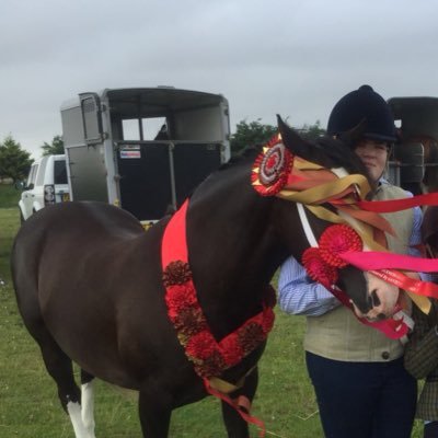 Lilly_thompson_'s profile picture. 🌱High level equestrian show rider🏇🏆 Scottish live stock 🏴󠁧󠁢󠁳󠁣󠁴󠁿major Book worm📚🐛