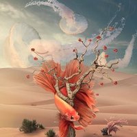 Designar (@designar13) 's Twitter Profile