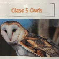 Class 5 Owls(@Class5elves) 's Twitter Profile Photo