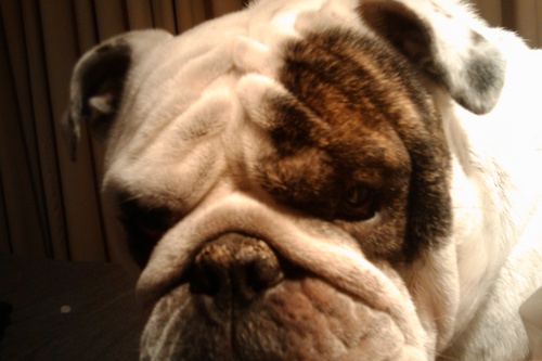 mborcoski's profile picture. 