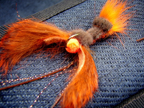 Fly Fishing guide,Photographer, Writer, Blogger,Family man and film star...