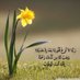 مشاري ا (@lovllyll) Twitter profile photo مشاري ا (@lovllyll) Twitter profile photo