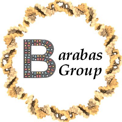 BarabasGroup Profile Picture