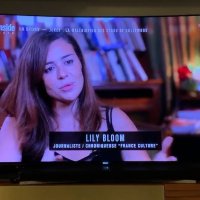 lily bloom (@lilybloom2) 's Twitter Profile