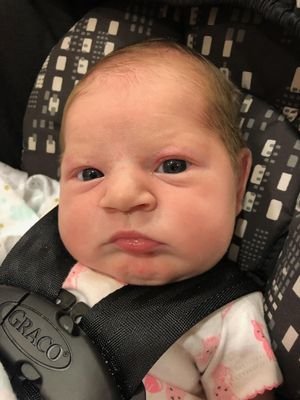 PhilipW86756362's profile picture. I'm trying to learn crypto