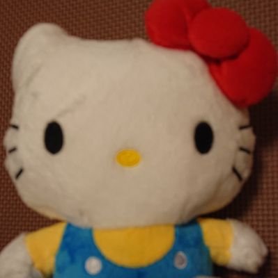 9HBGhumw9ewwpPR's profile picture. 中学生の息子と5歳娘。2人のお母さんです。子供服大好き！パニック症状持ち🙄