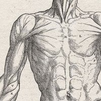 @SoMe4sarcoma (@some4sarcoma) 's Twitter Profile