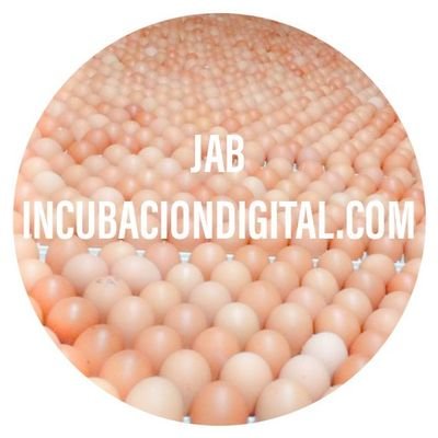 JHONNY ALFARO. Ejecución de Proyectos de Innovación. Incubación - Galpón Túnel.